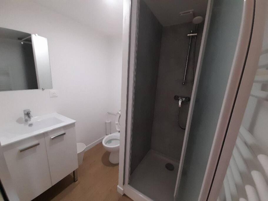 Bel Appartement A 2 Pas Du Chu Isle Exterior foto
